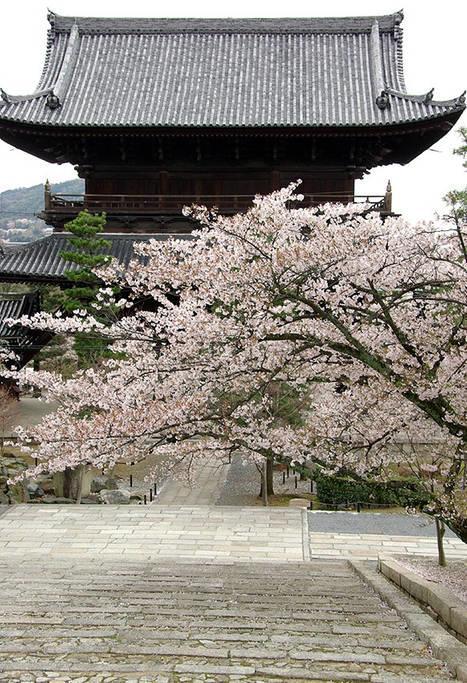 Villa Nanako House Kyōto Esterno foto