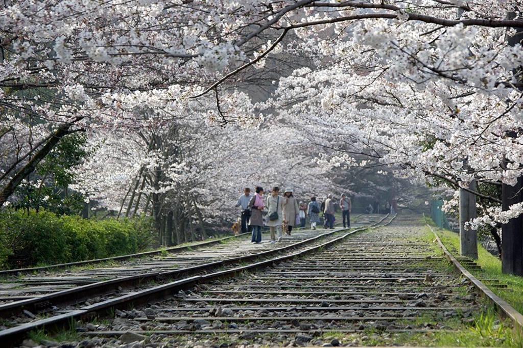 Villa Nanako House Kyōto Esterno foto