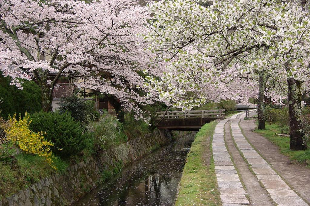Villa Nanako House Kyōto Esterno foto